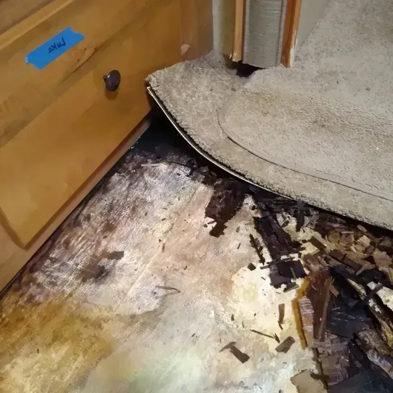 Best Wood Floor Water Damage Service in Youngtown, AZ